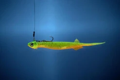 Quantum Pelagic Shad Set Pin-Tail - Gummifisch -Fladens Angelzubehor Geschaft 3460004 C1 769241 1280x1280