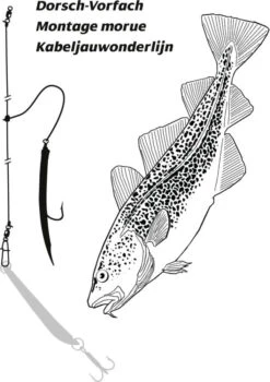 Rhino Dorschvorfach Mit Gummimakk Rot 8/0 5 Rhino Dorschvorfach Mit Gummimakk Rot 8/0 -Fladens Angelzubehor Geschaft 4880001 I1 772597 1280x1280