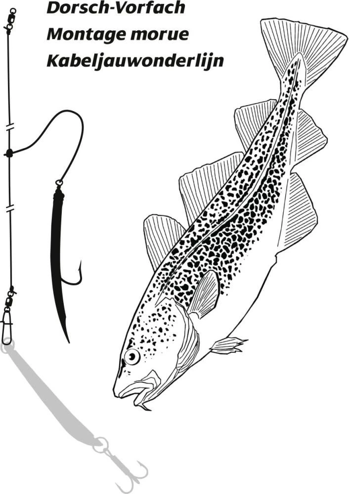 Rhino Dorschvorfach Mit Gummimakk Rot 8/0 3 Rhino Dorschvorfach Mit Gummimakk Rot 8/0 – Bild 3