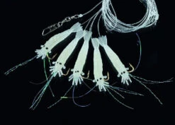 DEGA Shrimp-Deluxe Vorfach 10 DEGA Shrimp-Deluxe Vorfach -Fladens Angelzubehor Geschaft 7702203 01SKO0GBnbP8t50 1280x1280