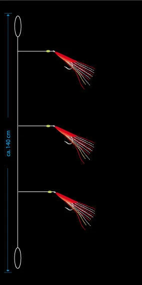 AQUANTIC Großmakrelen-Dorsch System – Bild 2
