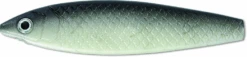Rhino Softfish Lure 8 Rhino Softfish Lure -Fladens Angelzubehor Geschaft Rhino Softfish Lure black shiner 3375001TxWZQQ4VUnS24 1280x1280