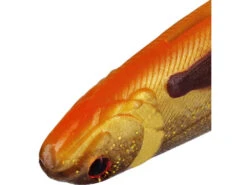 Westin SHADTEEZ Slim 18cm - 27cm - Blister 11 Westin SHADTEEZ Slim 18cm - 27cm - Blister -Fladens Angelzubehor Geschaft p165 x3 large 772879 1280x1280