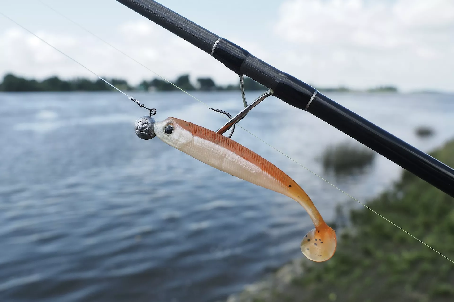 Titelseite -Fladens Angelzubehor Geschaft zander gummifisch.JPG